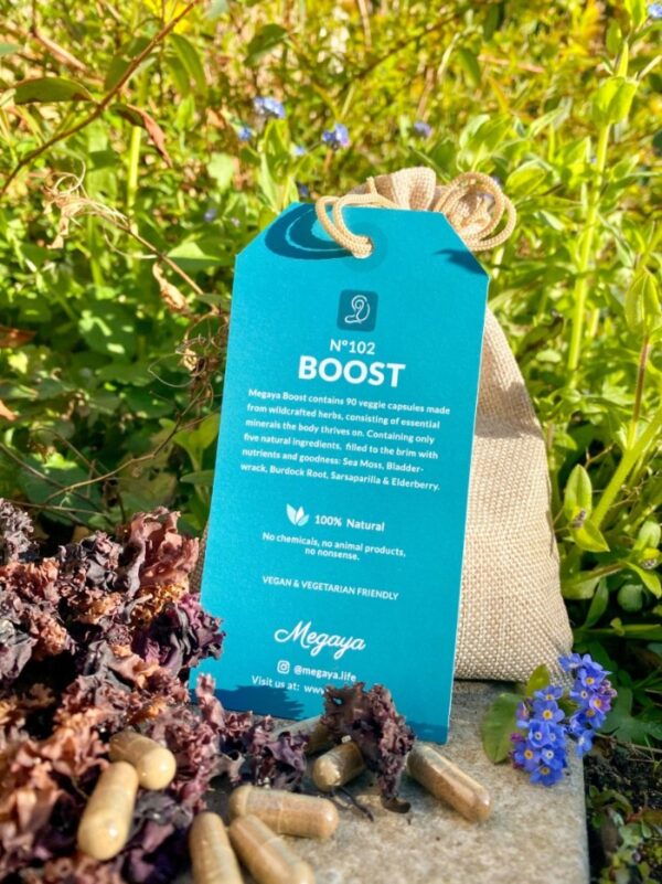 N°102 Boost - Image 5