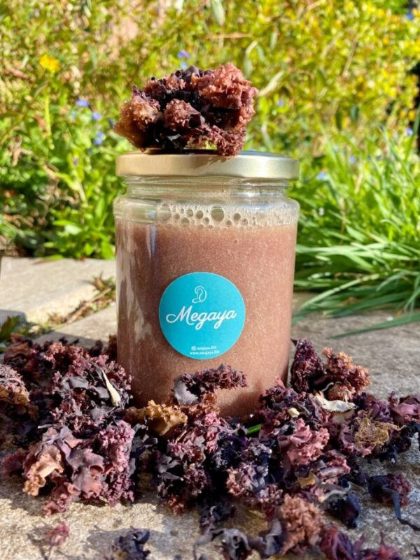 Irish Moss Gel 500G